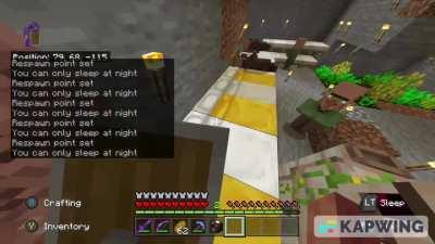 Villager Floating Away meme