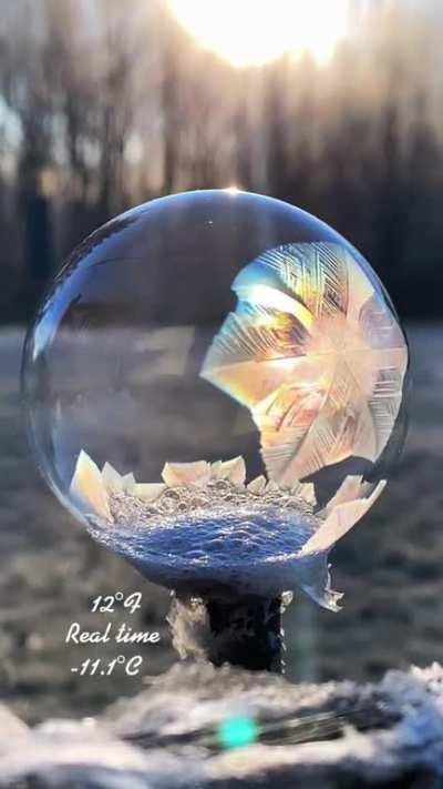 Soap bubble freezes in real time