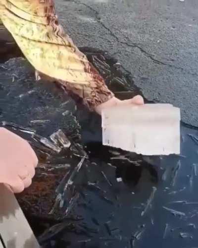 As a heart made from ice 💙