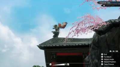 local ninja terrorized by bird