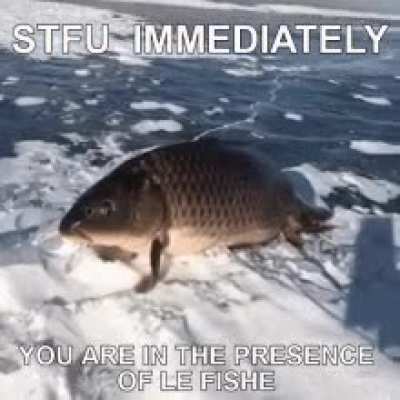 7lts85ftifitfif7td7d7yf8ytfydygyfygufugufuguhhhhhhhhhhhHHHHHHHhHhHlefisherzotstidoy