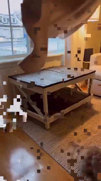 Because they're worth it