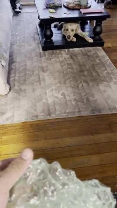 First experience with bubble wrap