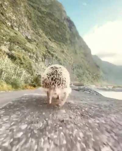 Se per caso la vostra domenica fosse cominciata con il piede sbagliate.