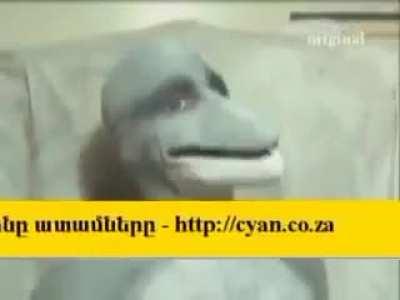 SON ZAMANLARDA YUNUS ADAM🐬 POSTU ATILMAMASI DİKKATİMİ ÇEKTİ