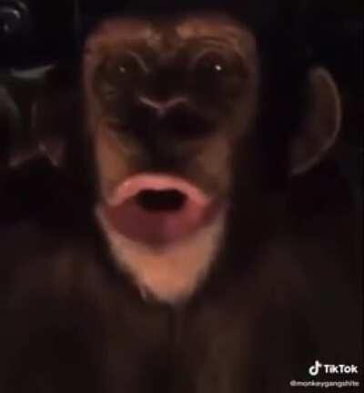 monke