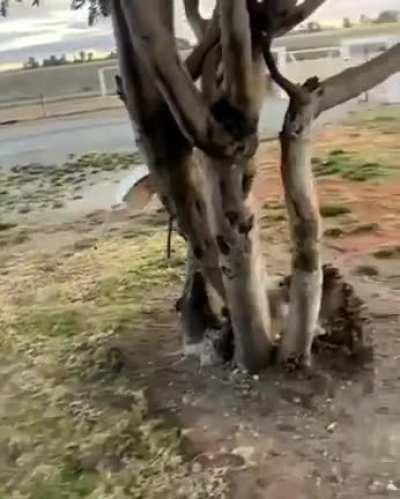 I think some of the stitching came undone