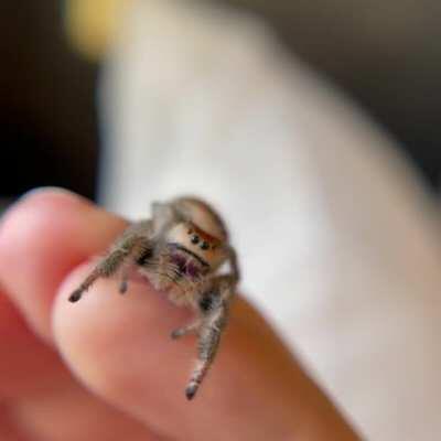 The most inquisitive little Matilda - she brings me so much joy ☀️