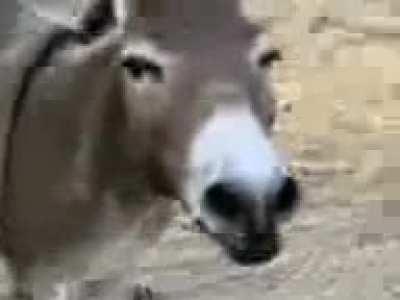 me when kyle spells icup