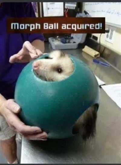 Morph Ball acquired!