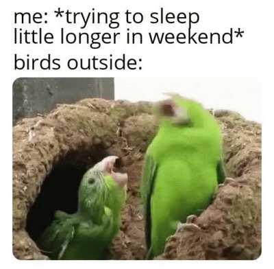 The party must go on!