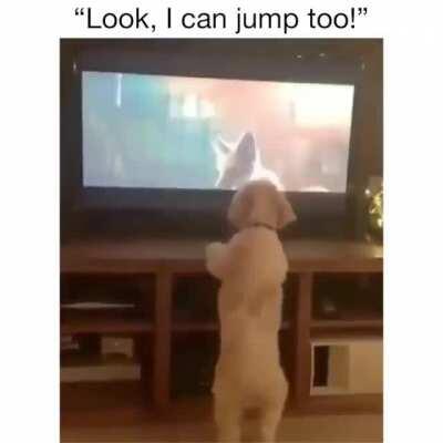 This video made my day