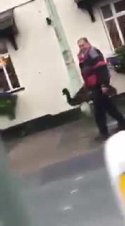 TIS AEI FOKKEN EMYOUH