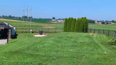 The 1 straggler following me while I level my foraging