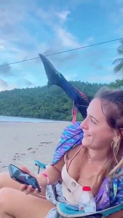 🔥 Day at the beach interrupted by a curious dinosaur