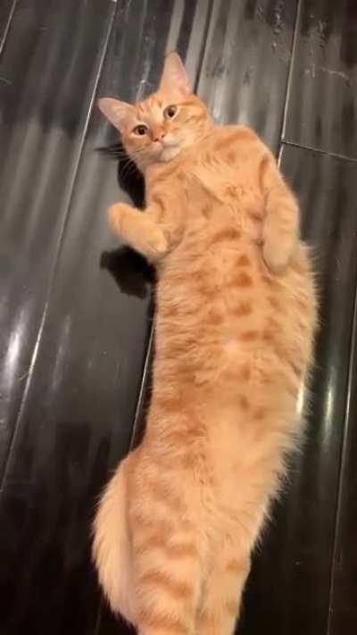 My chatty little guy