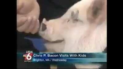 The legend of Chris P. Bacon