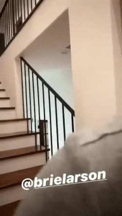 Brie Larson bouncing down the stairs