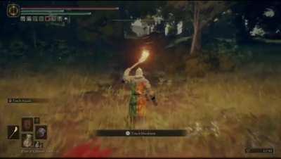 Elden Ring player tricks an invader by pretending to be an NPC