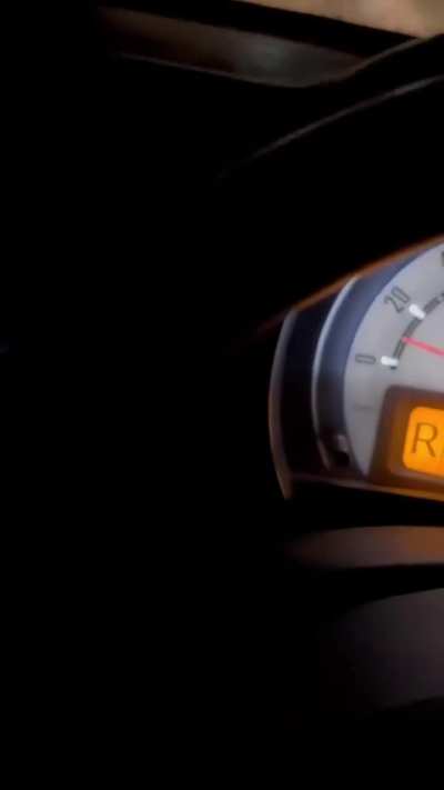 Hokkaido, Japan 6/11/25 - A brown bear in pursuit