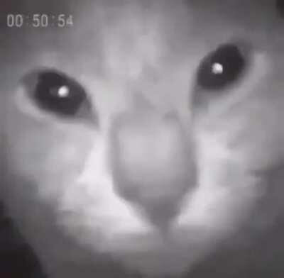 This is the 1 AM camera feed.