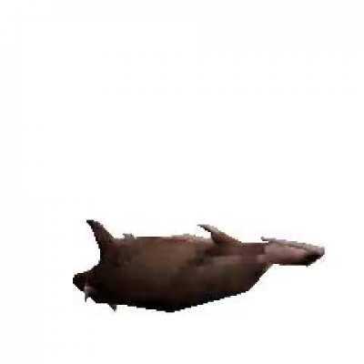 WHAT GAME IS THIS RAT MODEL FROM