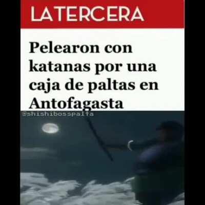 CONTEXTO: EN CHILE LAS PALTAS/AGUACATES SON MUY CARAS