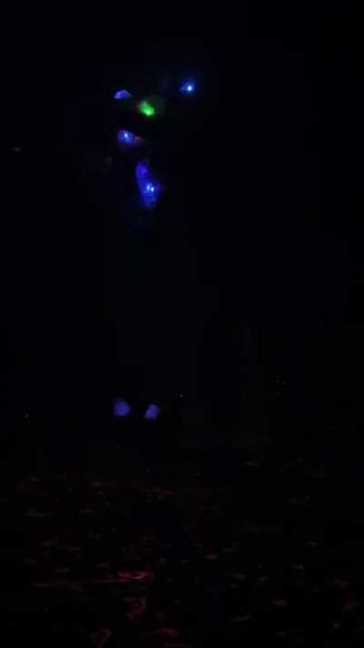 Day 2 Of Dancing To Buss Down Rollie Avalanche Everyday Until I Can Do The Dance At Streamer University