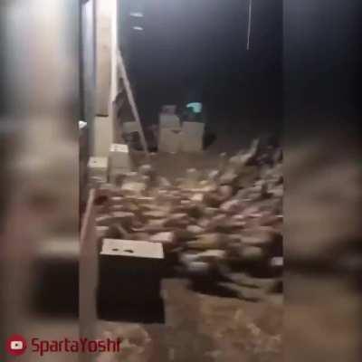 Release the Quacken!