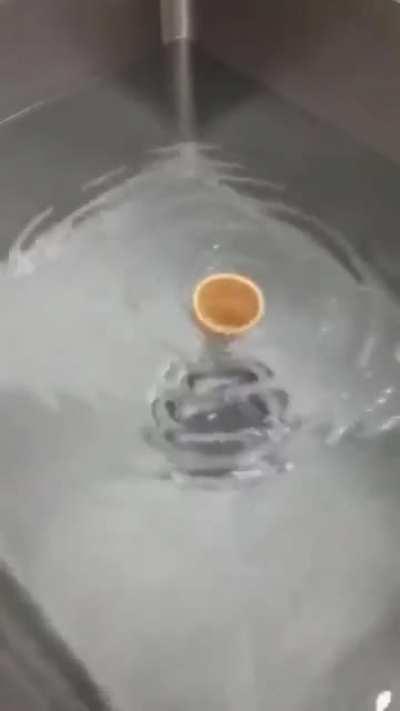 This cone going for a spin in a whirlpool
