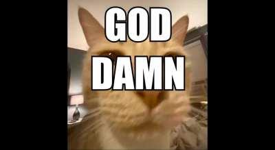 On my Touch Tone Tailphone