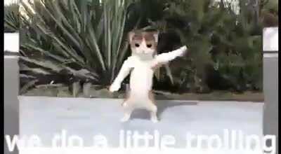 We do a little trolling