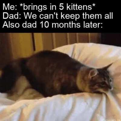 They be vibing on same frequency