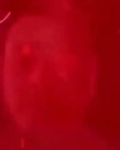 Noo alexby a sido detectado