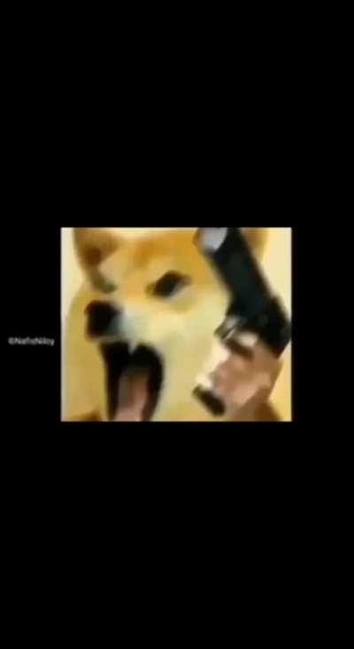 As a Bengali I can confirm this is true 👌