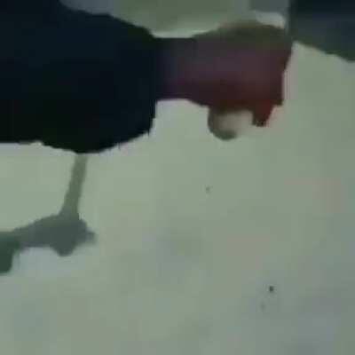 found on twitter, hopefully not a repost