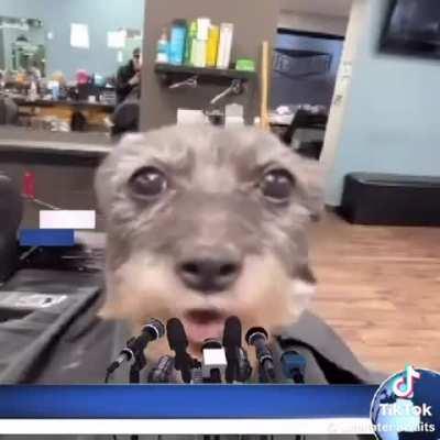 Just wanted to thank Gen A giving me brain nourishment 