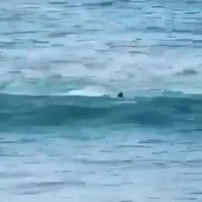 That was a legit 360 shot