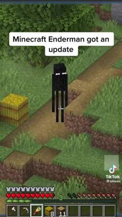 Minecraft Enderman got an update