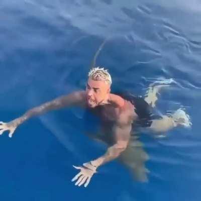 Swimmer encounters a real shark