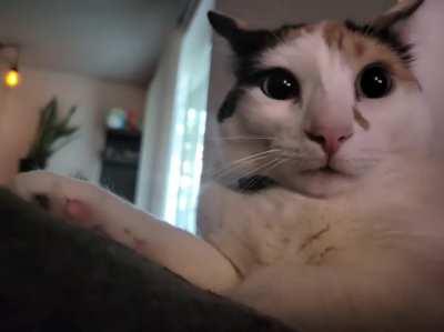 She heard a noise she didn't like!