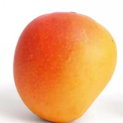 His main goal. [Meme] [Haiku]