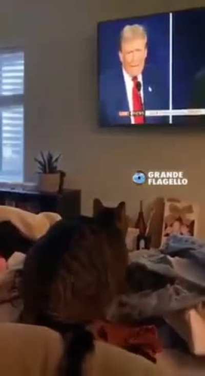 Wunker is getting political 