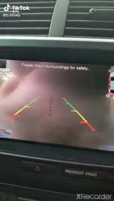 My guiding moonlight