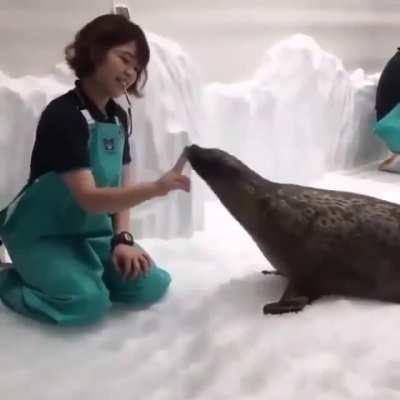 Loafes of bread with faces