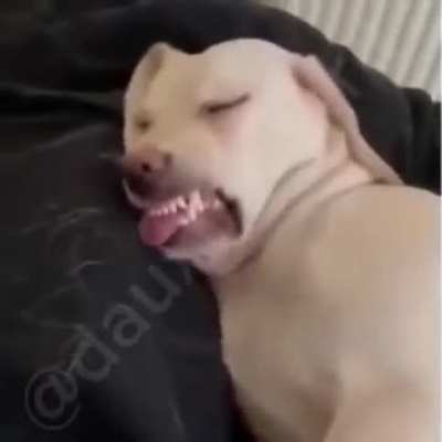 Well I can’t stop laughing 