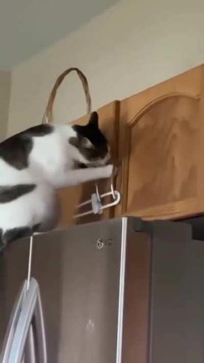 What kind of people?! Closet closed!