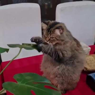 Boxing skills need to be honed constantly...