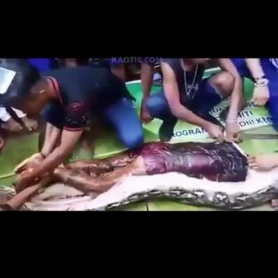 Индонезийку проглотил питон