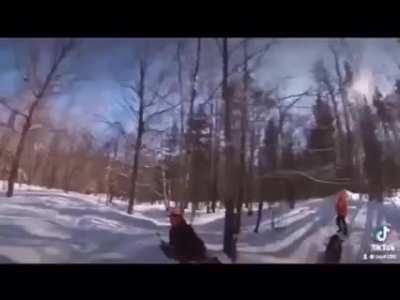 Wild Boar Hunt - Pack Attacks Hunters